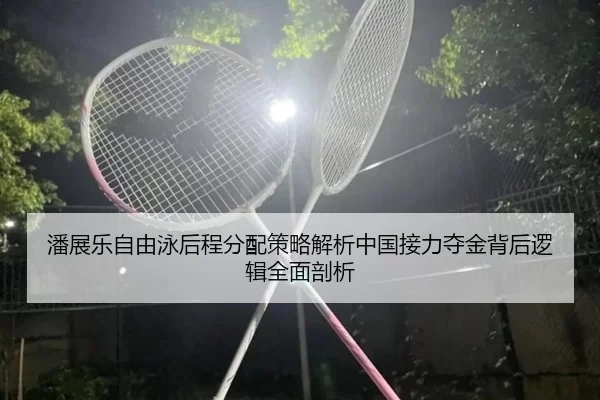 潘展乐自由泳后程分配策略解析中国接力夺金背后逻辑全面剖析
